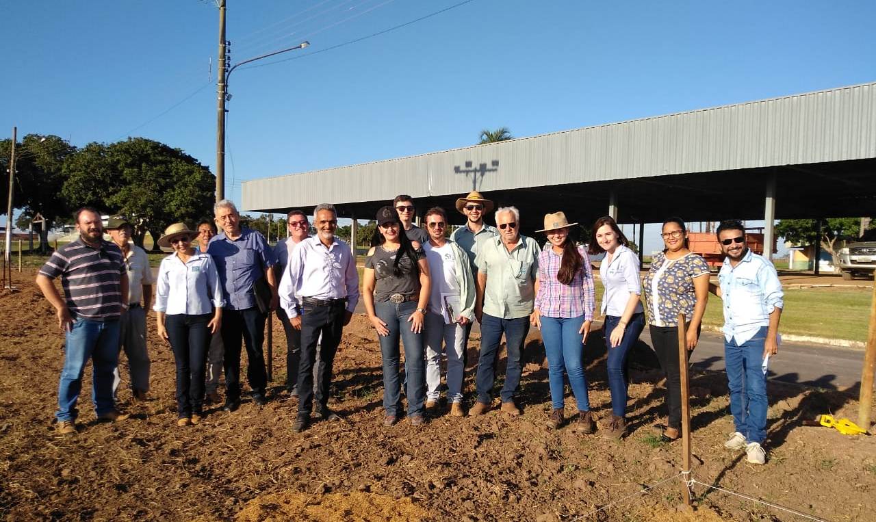 Exposul apresentará vitrines de plantio e feira para agricultura familiar