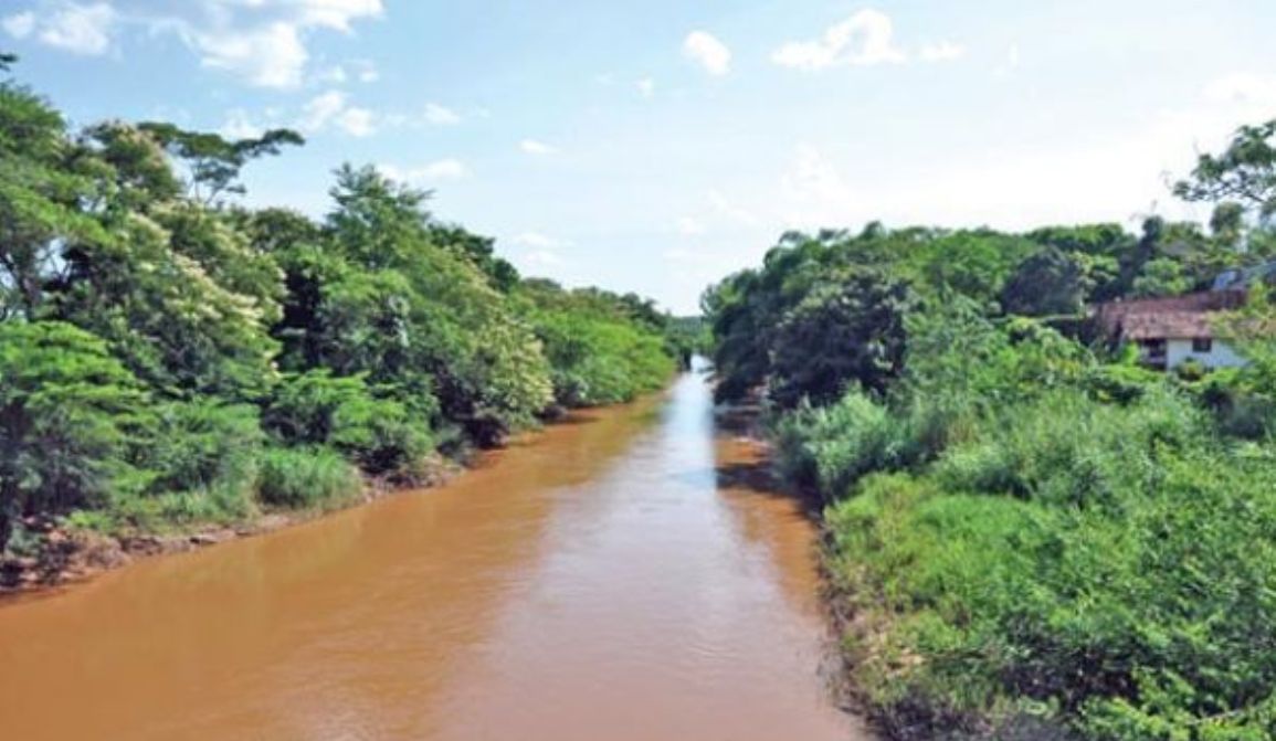 Com 650 voluntários, O Rio é Nosso acontece neste sábado (8)