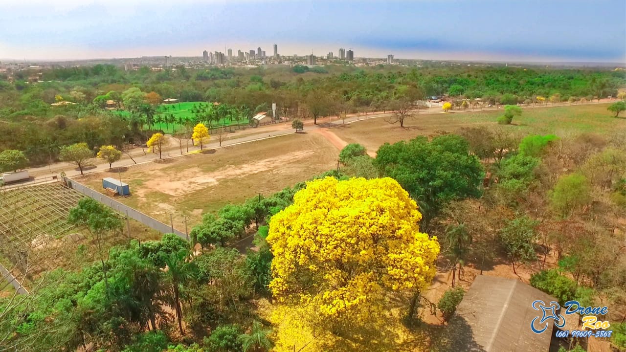 Concurso prevê seleção de dez fiscais do meio ambiente para zelarem pelo patrimônio ambiental