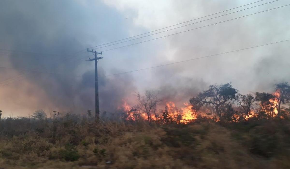 Motorista registra incêndio ao longo da estrada de Chapada; veja vídeo