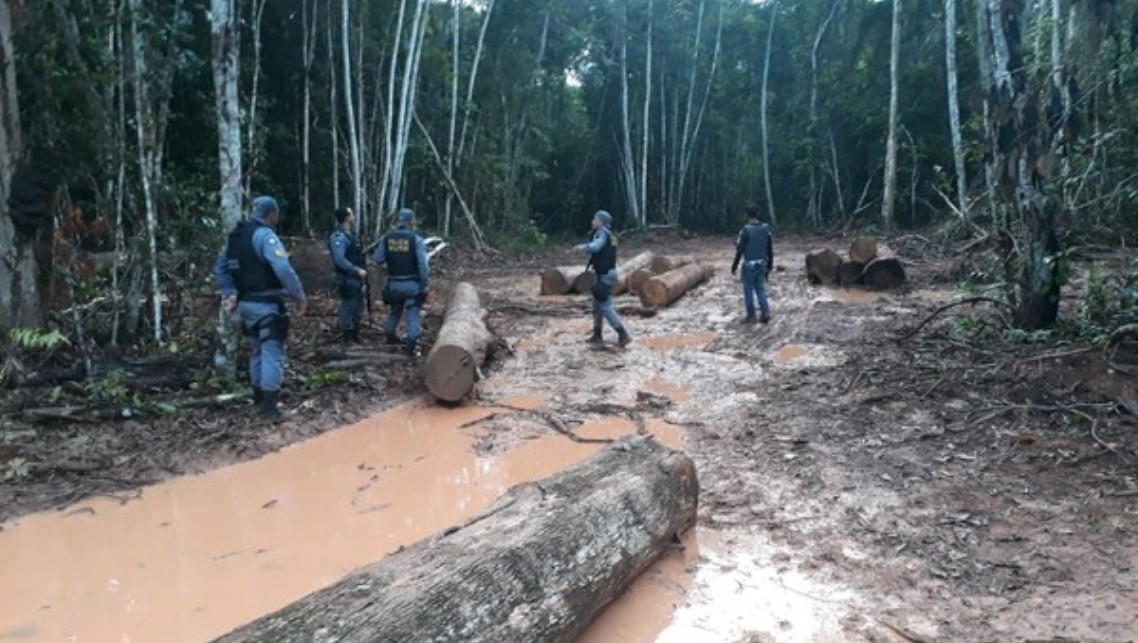 Nova Ubiratã | Grupo de madeireiros é preso ao invadir área de preservação