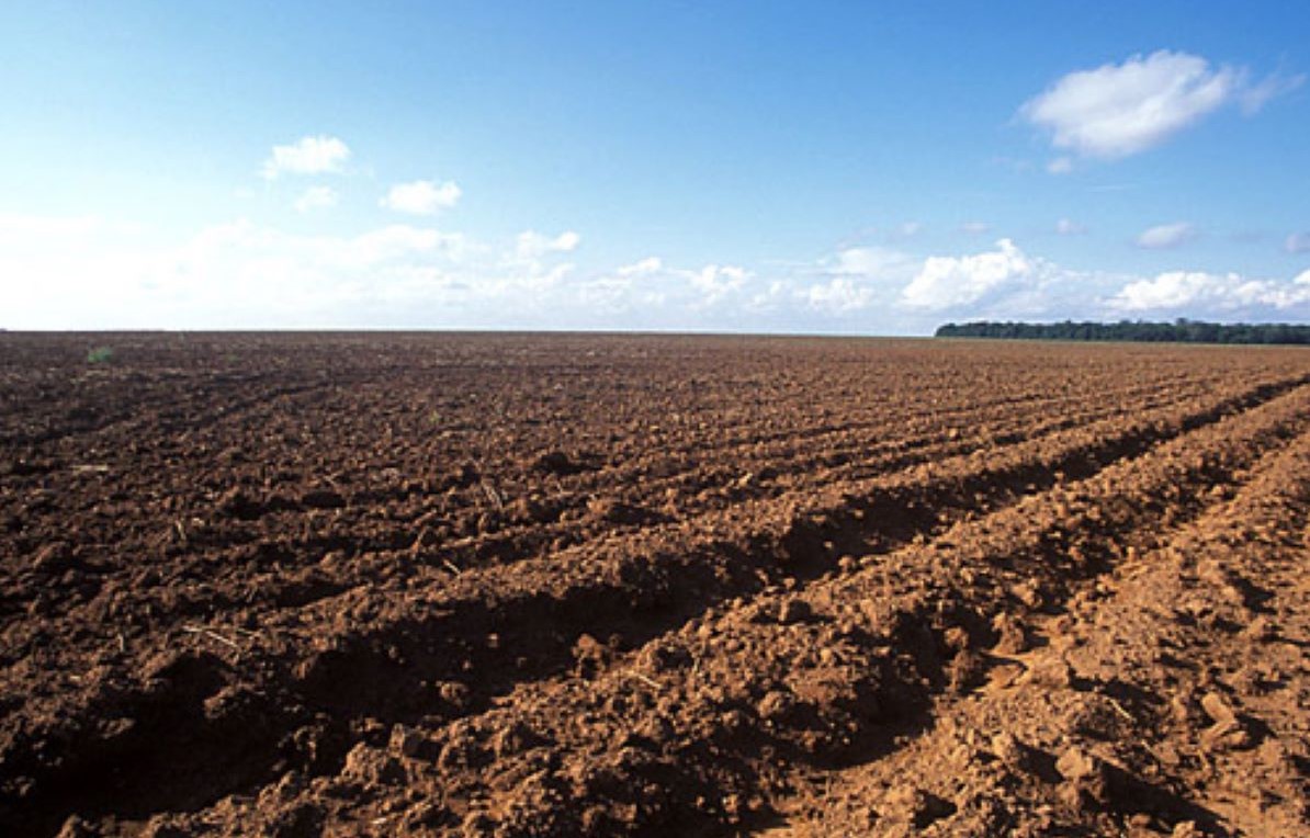 Vazio sanitário da soja: um período determinante para o sucesso do agronegócio de Mato Grosso