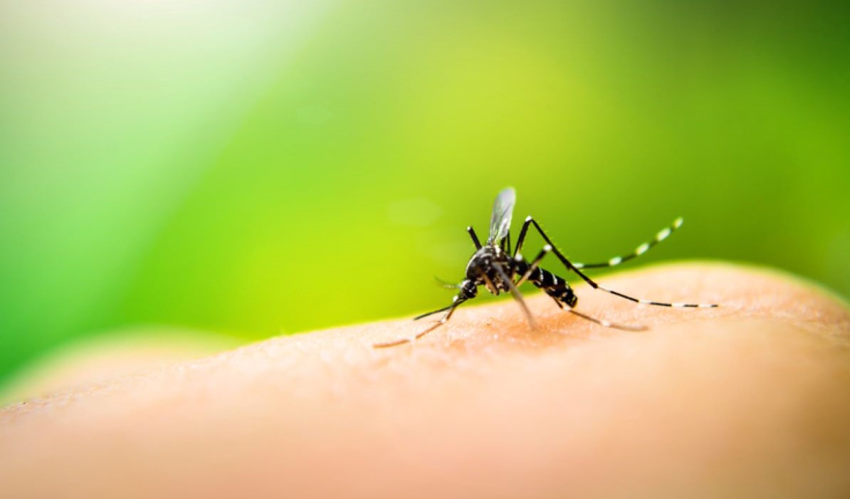 Homem de 34 anos morre vítima de dengue hemorrágica em Cuiabá