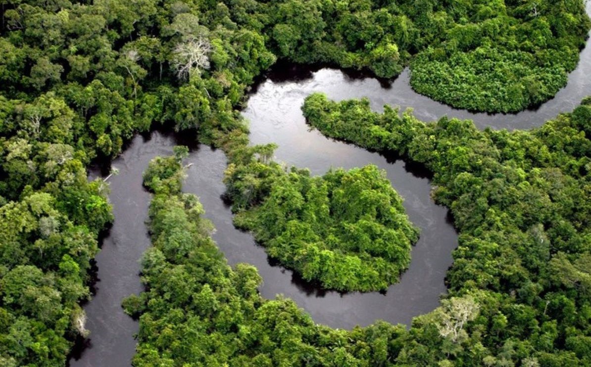 Ministério do Meio Ambiente instituiu o Programa Floresta