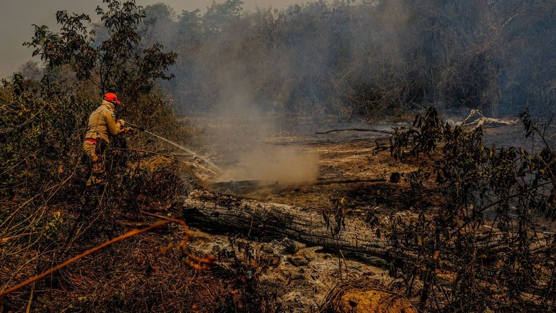 PF e órgãos estaduais apuram causas de incêndios no Pantanal