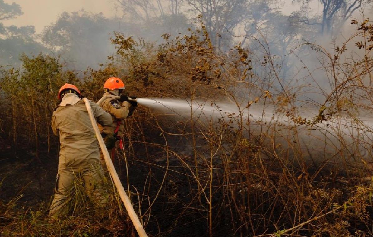 Delegacia de Meio Ambiente busca responsáveis pelos incêndios no Pantanal