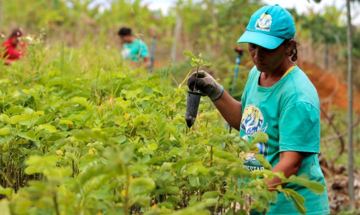 MIDR disponibiliza R$ 300 milhões para pequenos agricultores do Norte e do Centro-Oeste