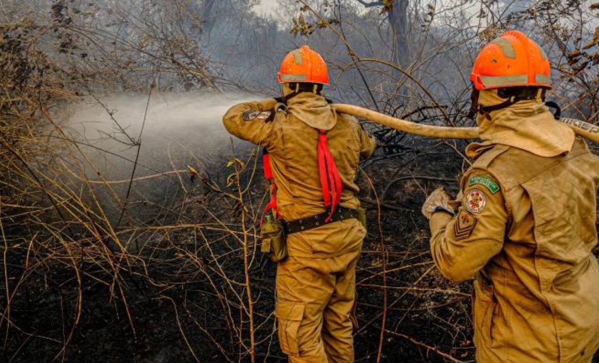 Fogo já consumiu mais de 2 milhões de hectares no Pantanal