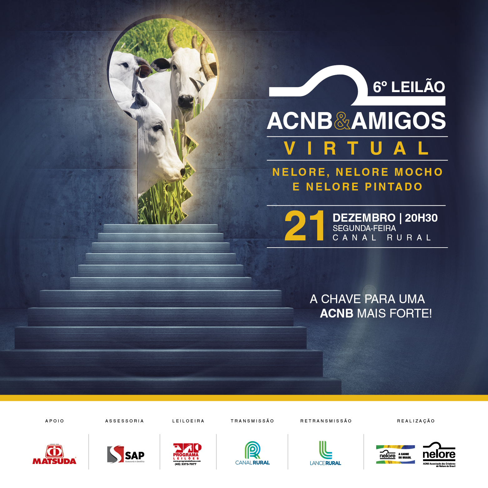 Associação dos Criadores de Nelore do Brasil realiza o 6º Leilão Virtual ACNB & Amigos e anuncia os vencedores do Ranking Nacional e do Circuito Nelore 2020 