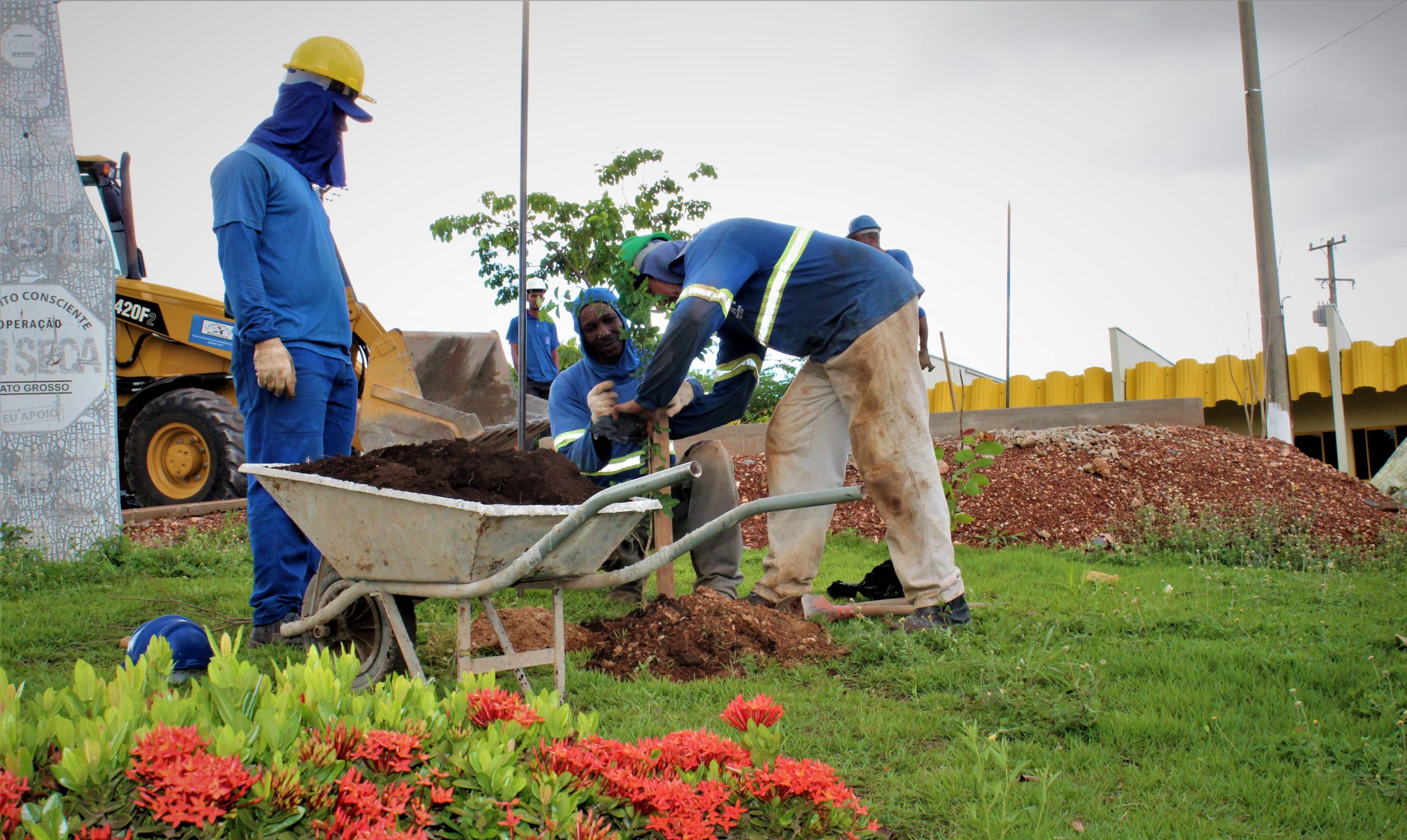 Detran-MT realiza plantio de 800 mudas de árvores em toda a sede