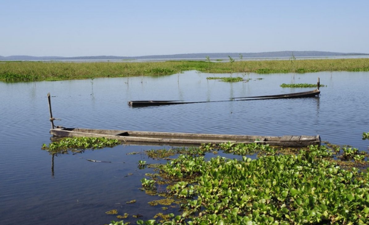 MP aciona Estado para que adote medidas de preservação ao Pantanal 