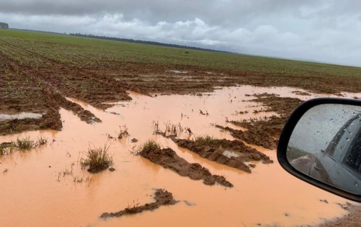 Sorriso | Prefeitura decreta situação de emergência após chuvas alagarem lavouras e estradas