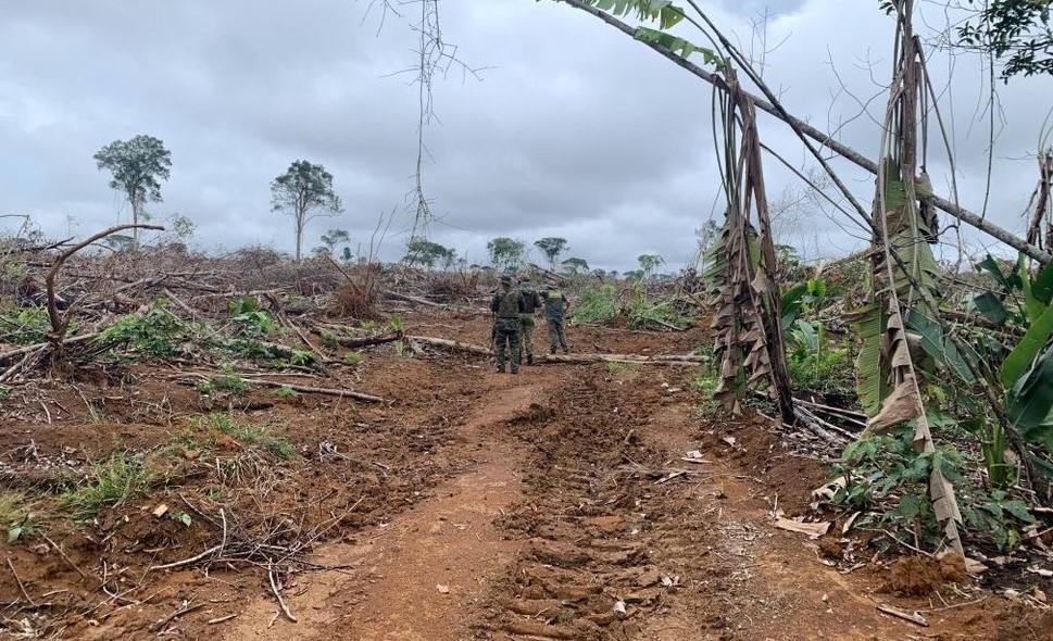 Mato Grosso | Fiscalização apreende quatro tratores e aplica R$ 30 milhões em multas por crimes ambientais