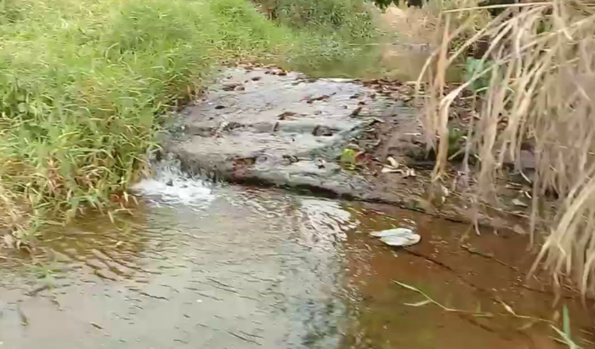 Rondonópolis | Usina de biodiesel é acionada na Justiça por crime ambiental    