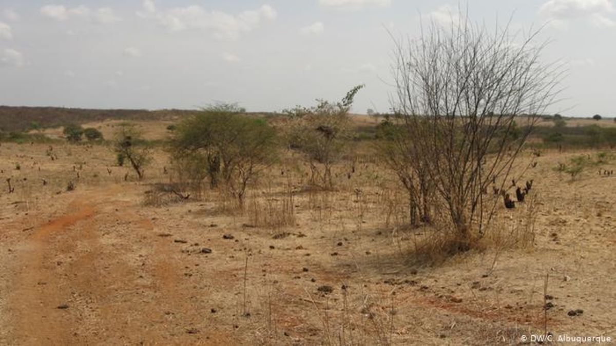 Cerrado sofre com clima cada vez mais seco e quente