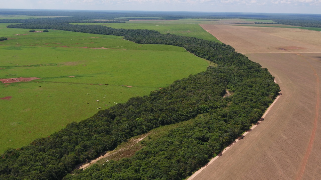 Bom Futuro emprega tecnologia para cuidar de área ambiental de 98 mil hectares 