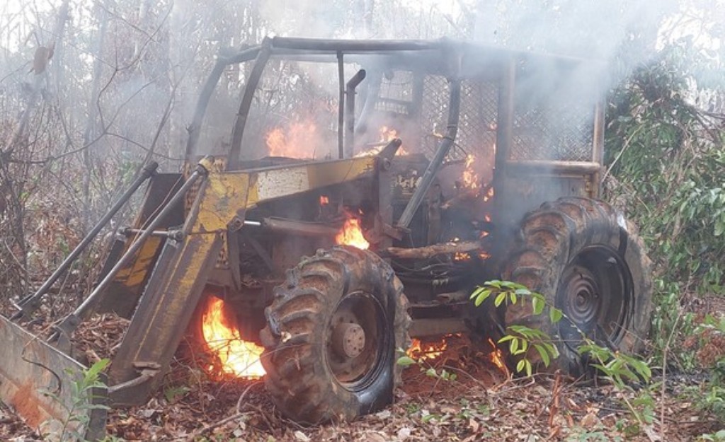 Mato Grosso | Ibama flagra exploração ilegal de madeira em terra indígena e assentamento