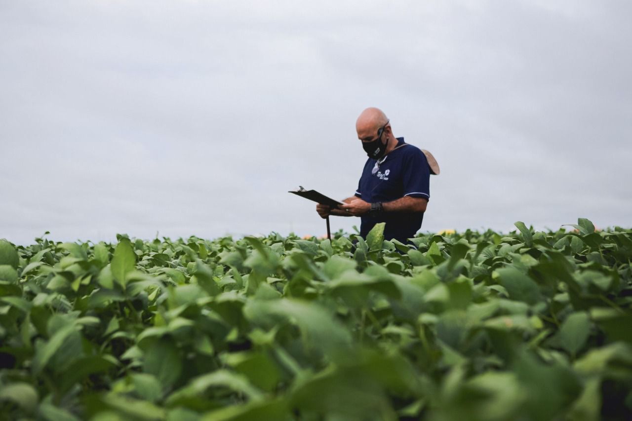 Anomalias em lavouras nas regiões produtoras de Mato Grosso serão debatidas durante o Open Sky Soja 2022