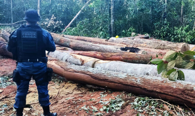 Cinco pessoas são presas por furto de madeira de propriedade rural em Nova Ubiratã