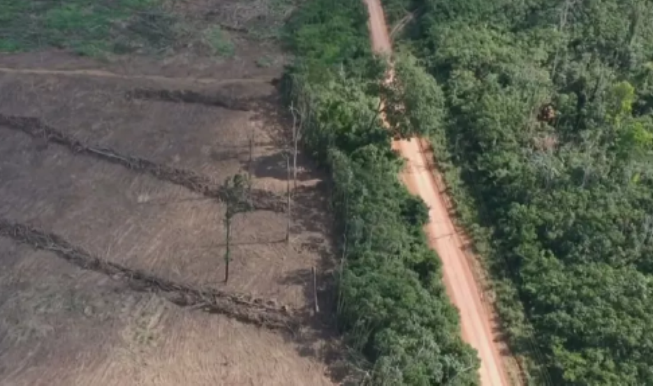 Secretários de Meio Ambiente de 9 estados se reúnem em MT para discutir o combate ao desmatamento e a incêndios florestais