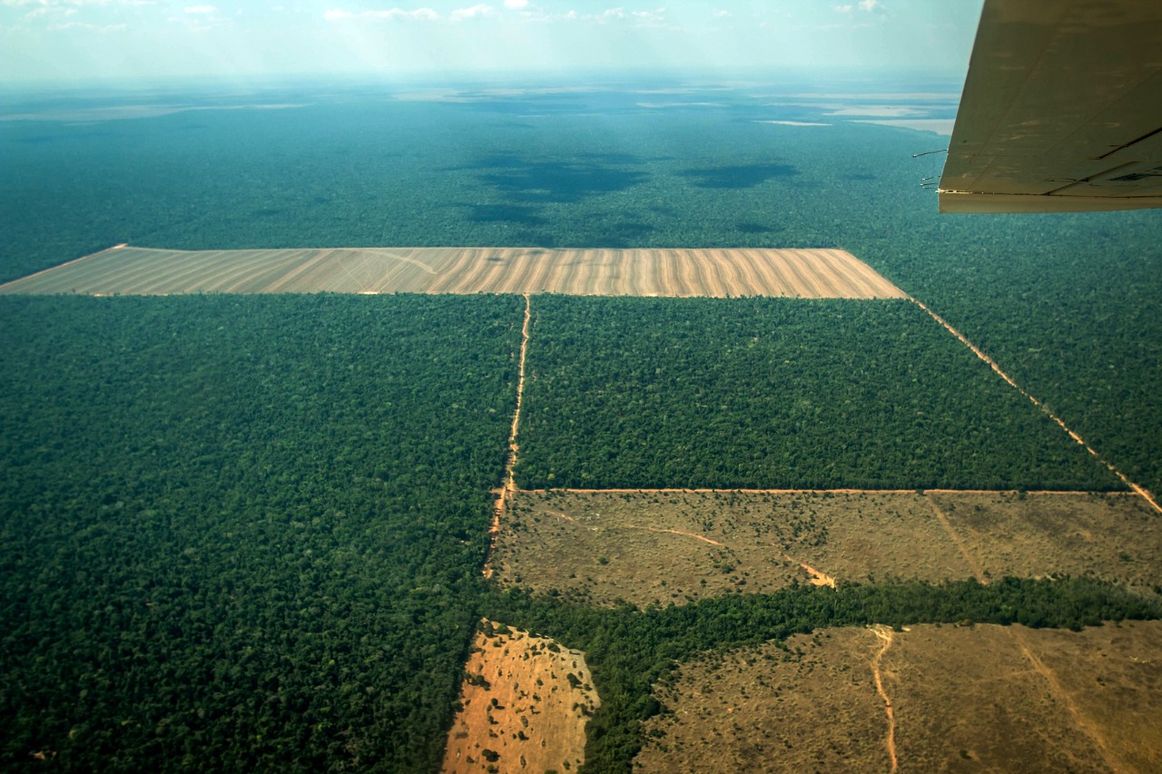 Mato Grosso deixou de arrecadar R$ 117,6 milhões em infrações ambientais nos últimos 5 anos