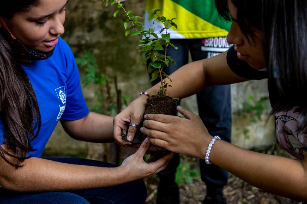 Seduc estimula práticas ambientais e sustentáveis entre a comunidade escolar