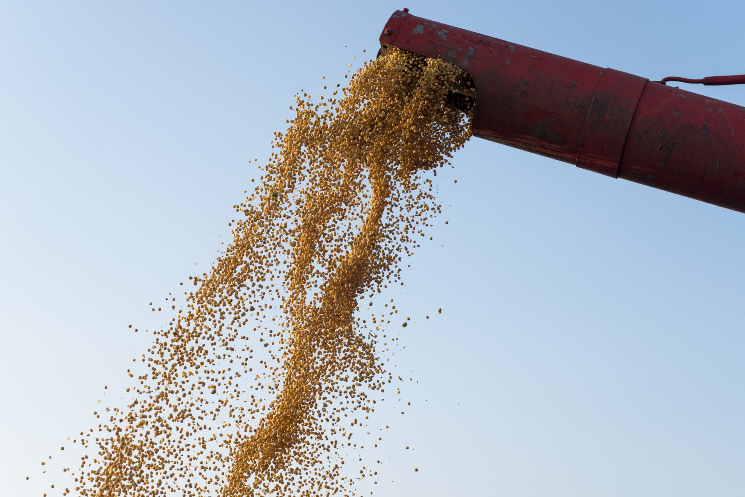 Mato Grosso representa 22,4% das exportações do agronegócio brasileiro em maio