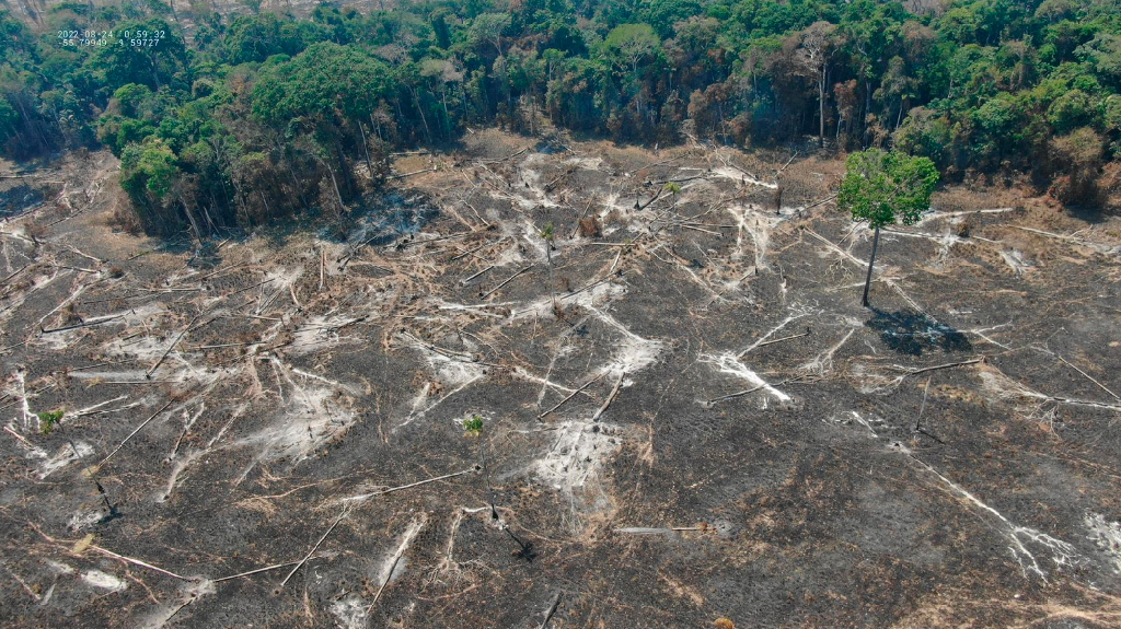 Operação aplica R$ 14,3 milhões em multas por uso irregular do fogo e apreende 2,2 mil peças de madeira