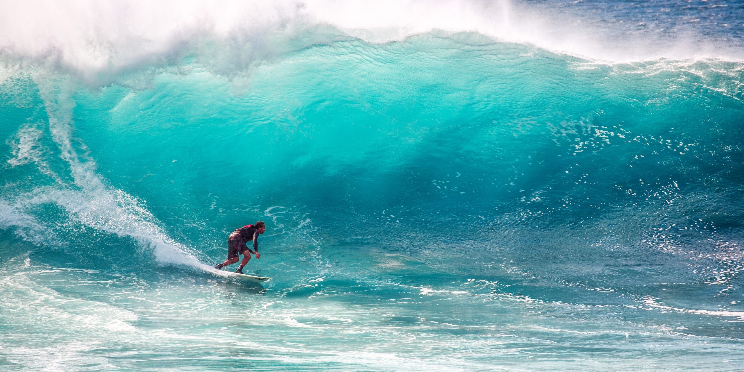 Pro Júnior Europeu 2022: melhores surfistas já estão a caminho dos Açores