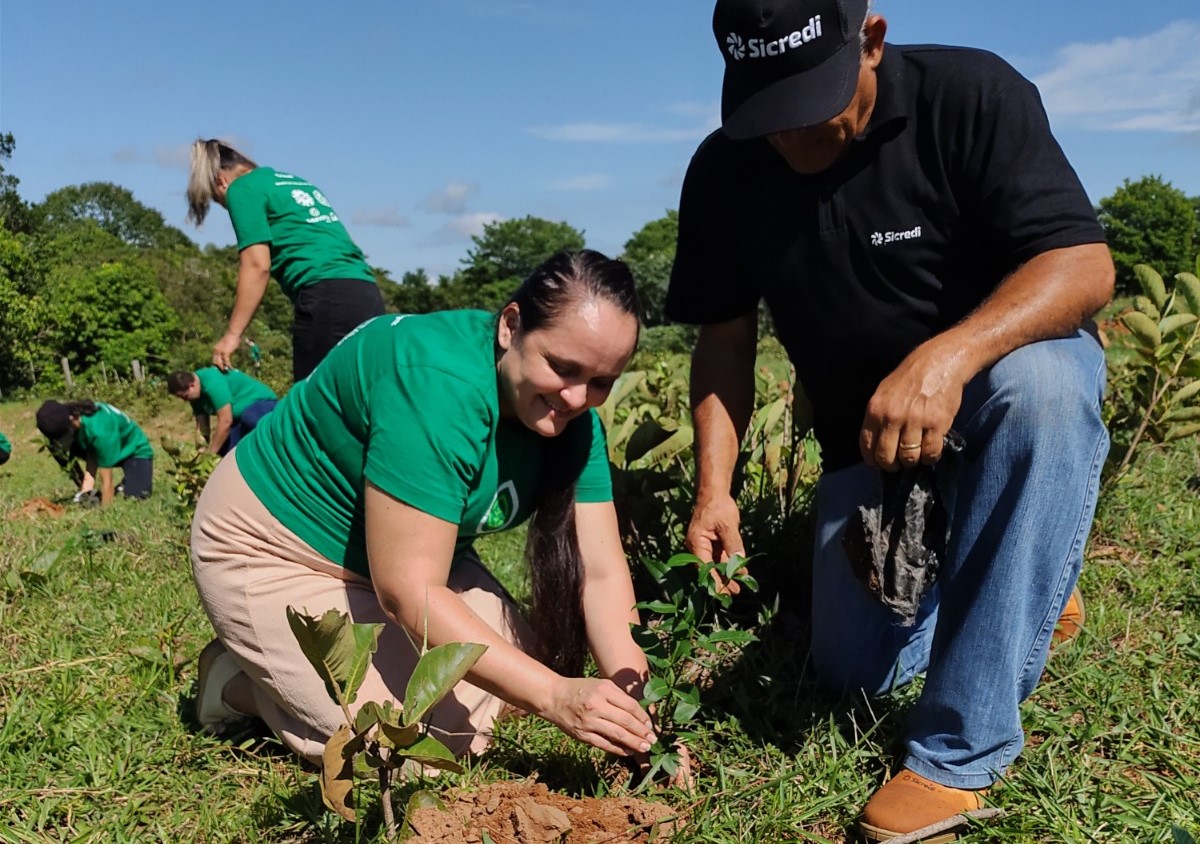 Programa “Recuperando Nascentes” chega à 100ª edição e promove equilíbrio ambiental 