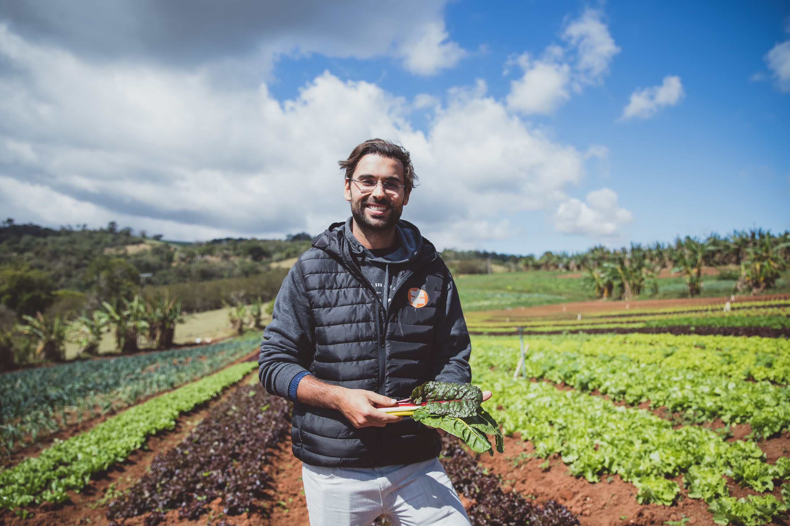 Qual a relação entre os alimentos orgânicos e o meio ambiente?