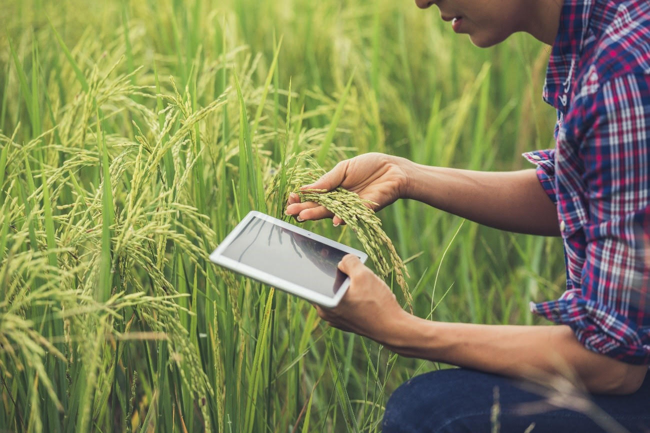 Faculdade promove evento gratuito e aberto para toda a comunidade sobre Agronomia em Rondonópolis 