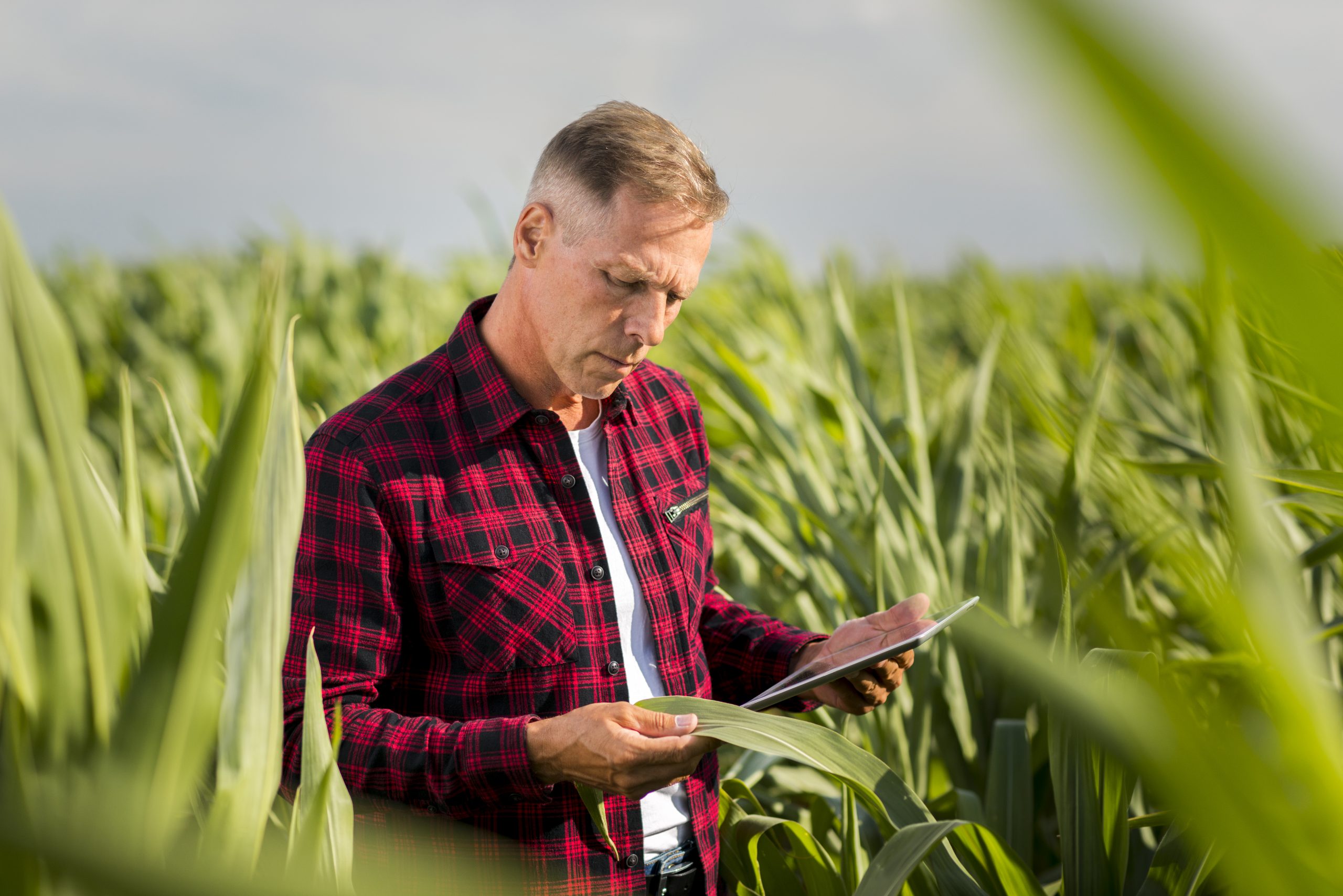 Salários de até R$ 25 mil: veja as profissões em alta no agro para 2024