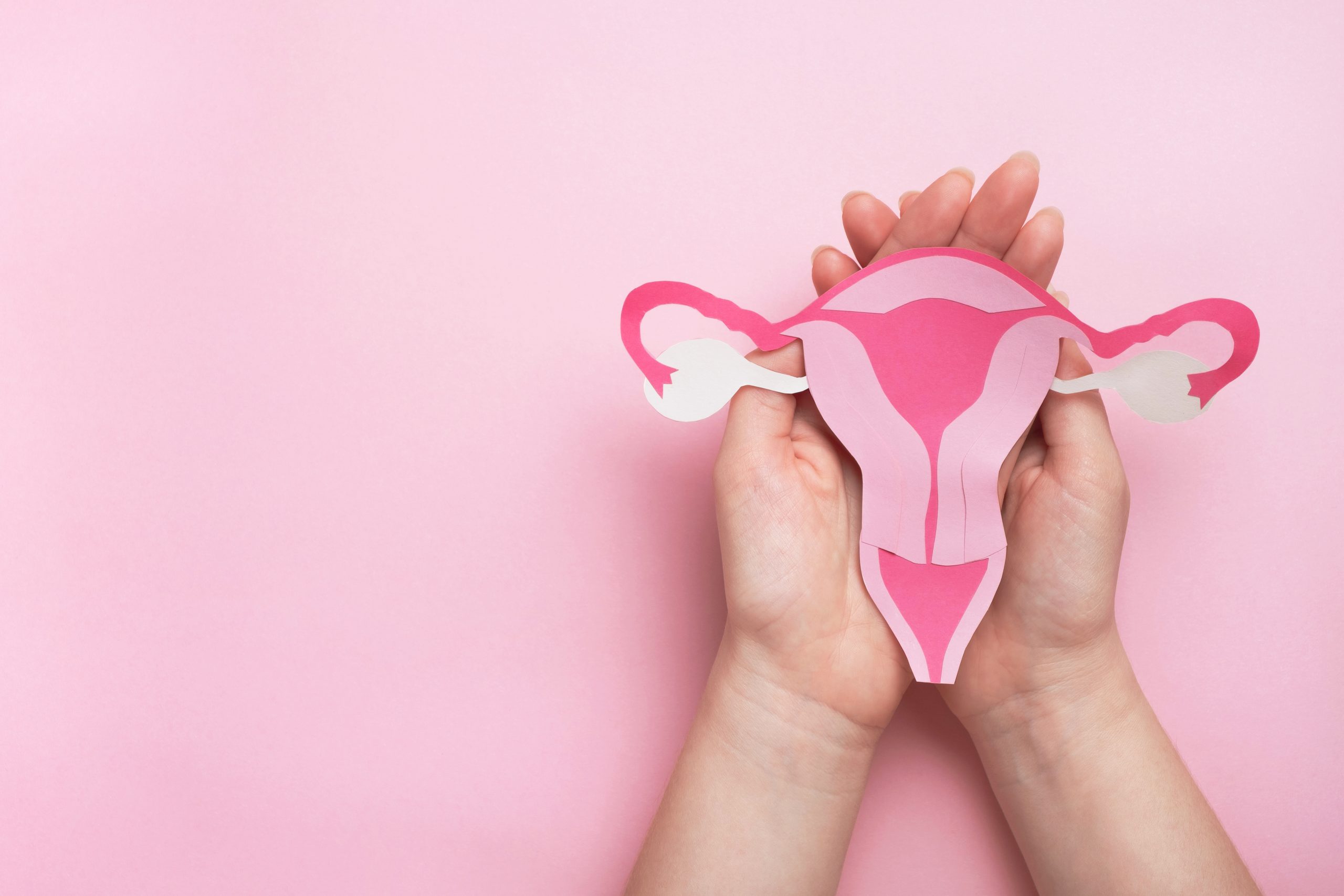 Seis entre dez abortos espontâneos recorrentes têm endometrite crônica como principal causa
