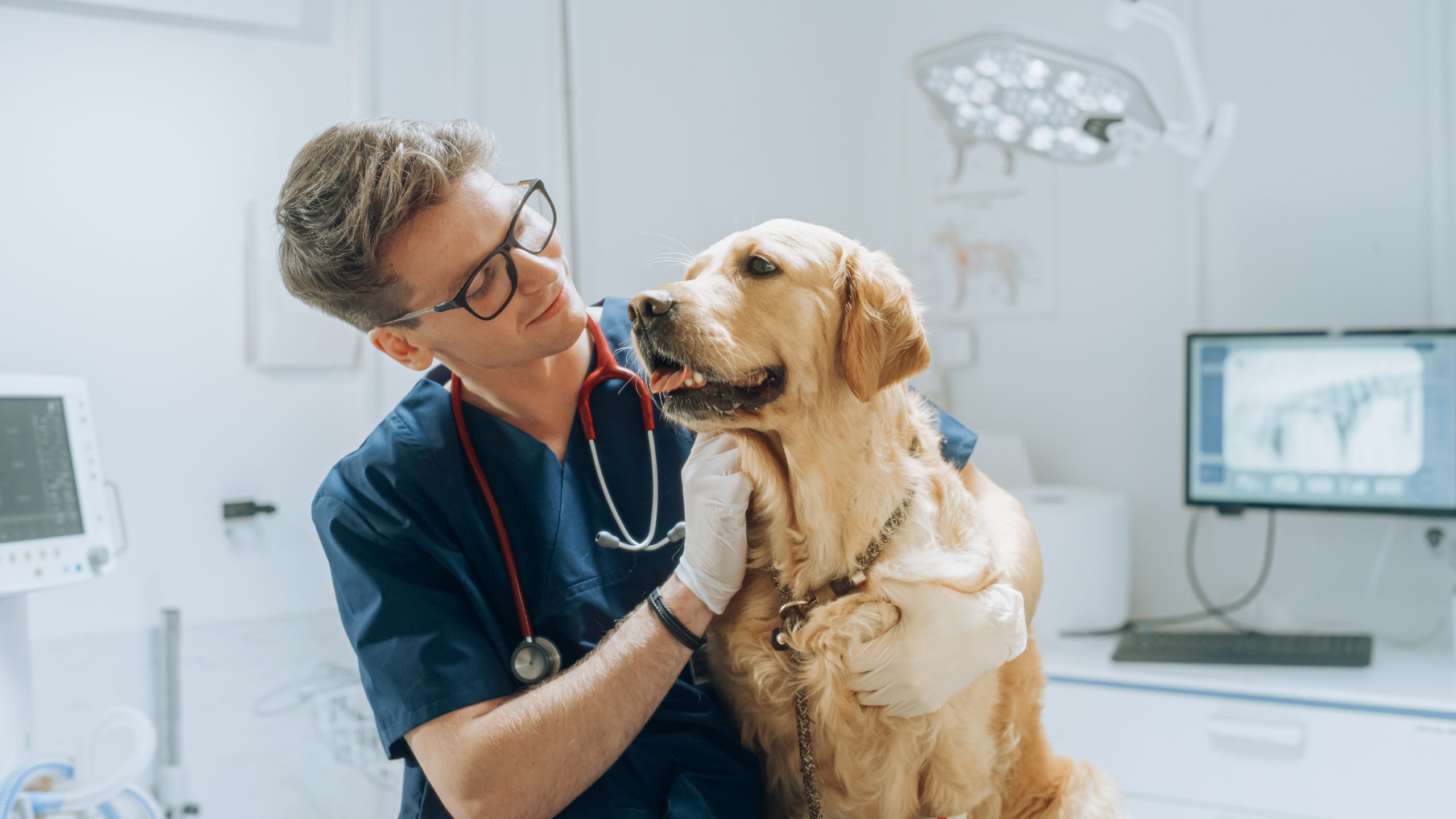 Médicos-veterinários se unem em prol do desenvolvimento da profissão, da saúde e do bem-estar animal