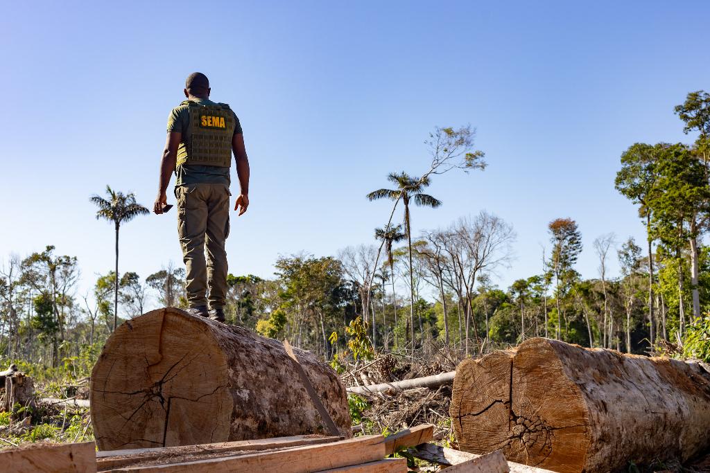 Período proibitivo para exploração do manejo florestal sustentável encerra na próxima segunda-feira (01)