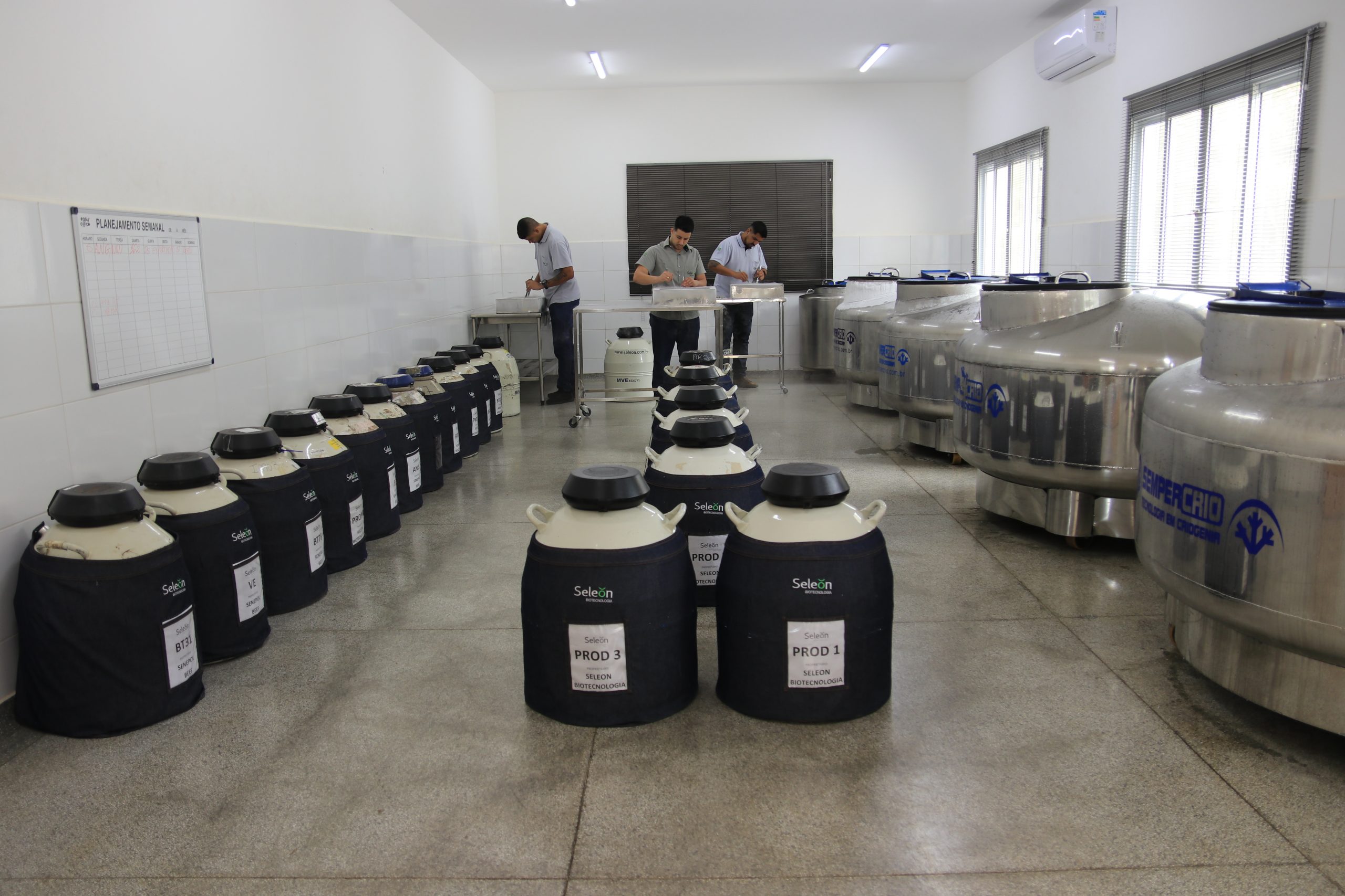 Seleon Biotecnologia marca presença em Dia de Campo da Fazenda Jacamim, em Mato Grosso