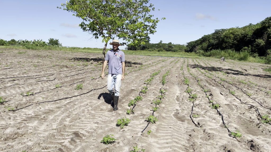 “Agora a gente vai conseguir produzir o ano todo”, afirma produtor familiar que recebeu kit de irrigação do Governo de MT