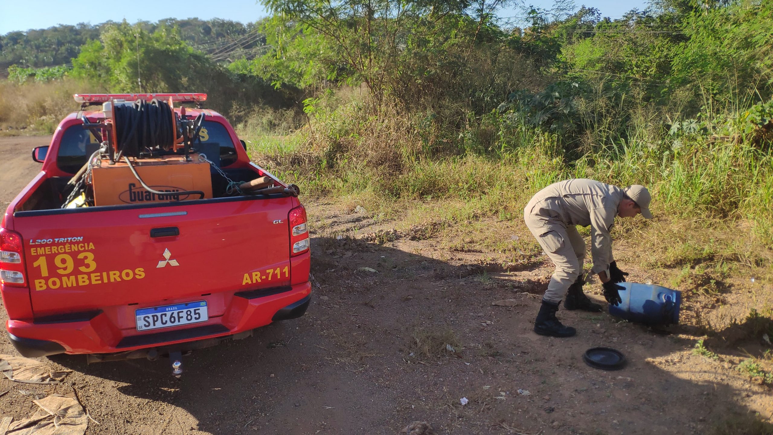 Jaciara | Bombeiros capturam jiboia encontrada em quintal de residência