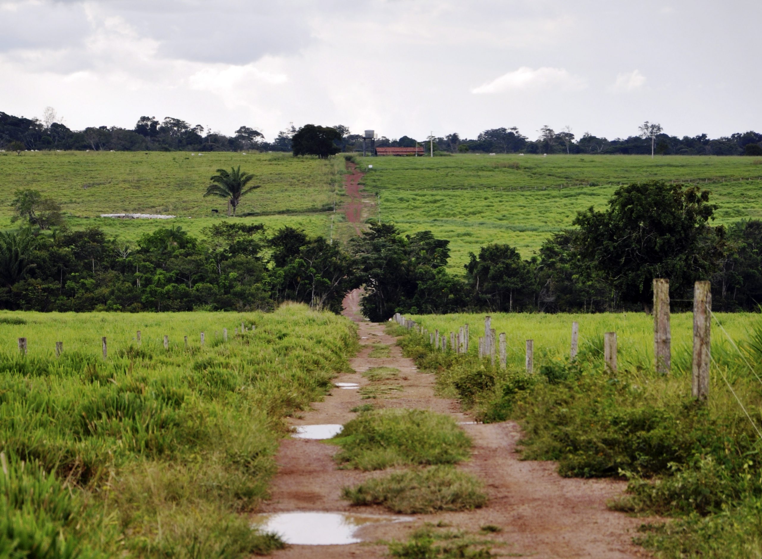 Regularização fundiária promovida pelos Cartórios do Mato Grosso impulsionam investimentos no setor agrícola