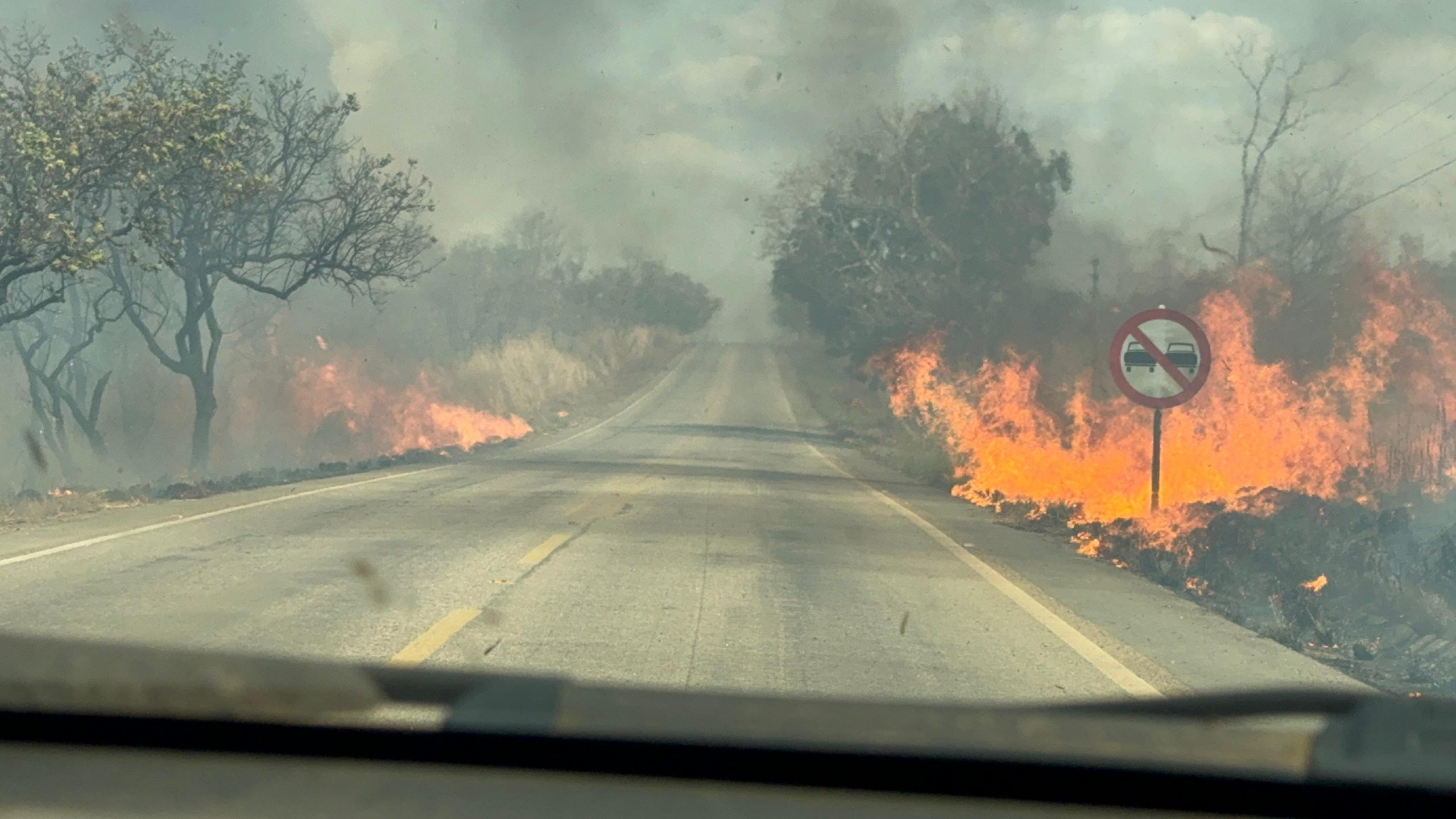 Brigadas contra incêndios de MT se concentram no Cerrado e Amazônia precisa de atenção