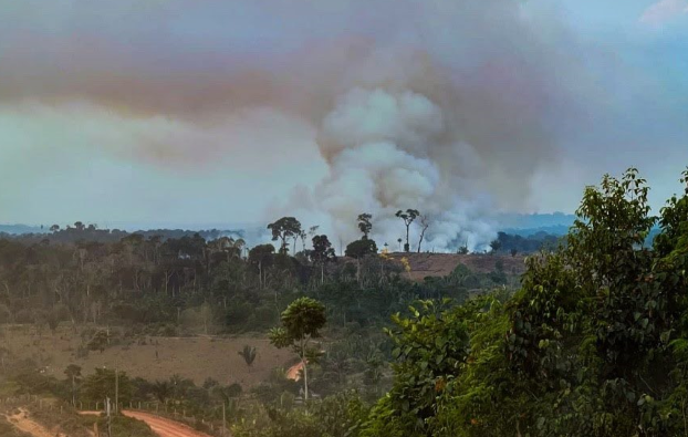 Idesam mobiliza campanha para apoiar agricultores impactados por queimadas no sul do Amazonas 