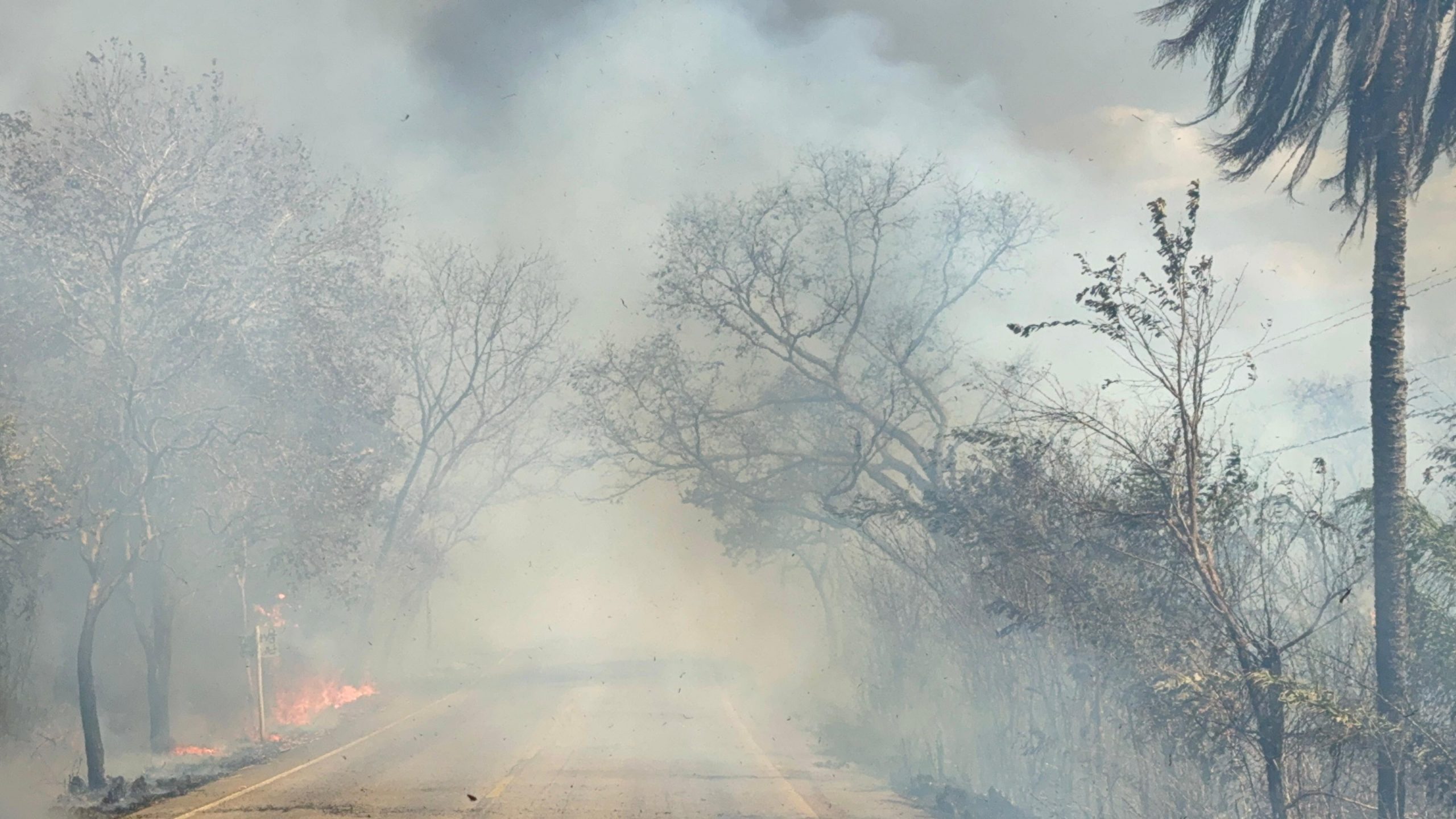 Área equivalente a dez cidades de Cuiabá foi queimada em MT em setembro